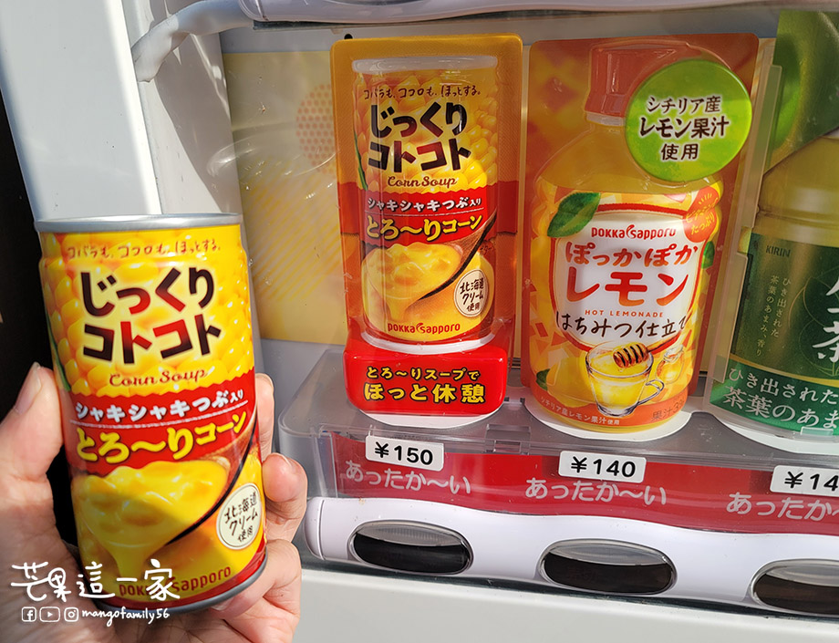 日本必買清單｜零食．伴手禮．紀念品＆日本戰利品分享！