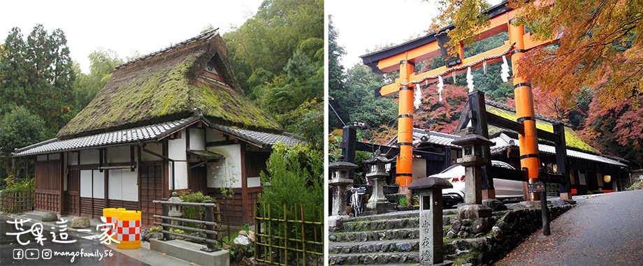 京都自由行｜嵐山一日遊攻略．漫步嵐山必遊景點有哪些?一起來看看嵐山楓葉季的美景！